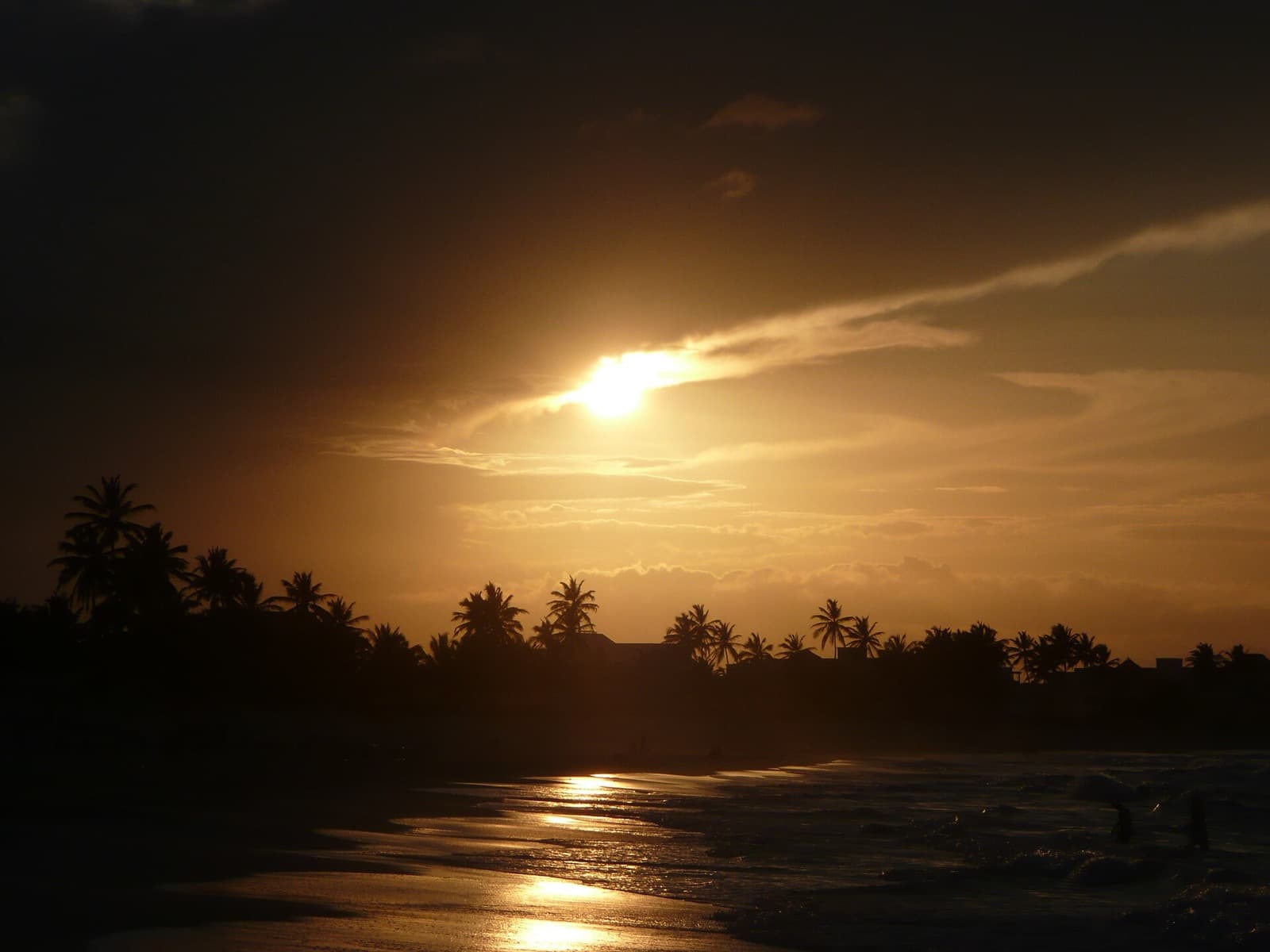Atardecer sobre una playa de palmeras en el Caribe